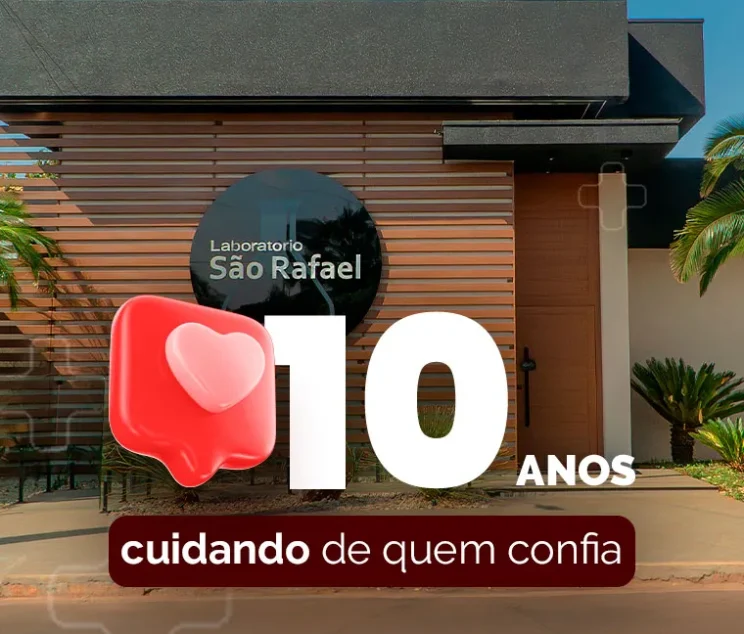 as-Sao-Rafael---Falcon-Art